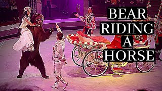 Bear Riding a Horse - Circus in Russia