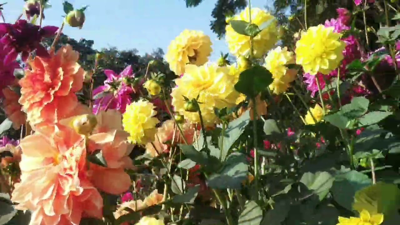 JWHWLAOPURI PARK || NAOKHATA, SUKLAI SERFANG || DOSE BERAIBAI ❤💚