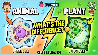 ⚡ Master Animal & Plant Cells in 60 Seconds! | StudyBite Science Revision1q screenshot 1