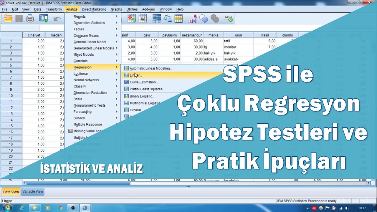 SPSS ile ok deikenli regresyon analizi hipotez testleri ve oklu dorusallk sorunu