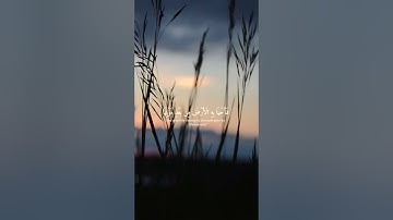 تلاوة هادئة و مريحة للقارئ اسلام صبحي