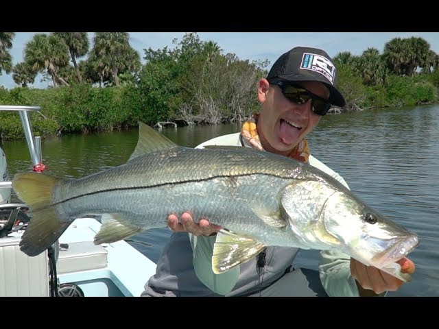 Massive Bait Catch with Surprise Cobia & Snook in Tampa Bay 
