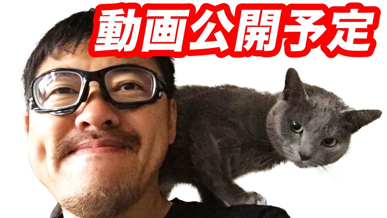 マック堺チャンネル 動画公開予定・ 動画の使用について ・マック堺と