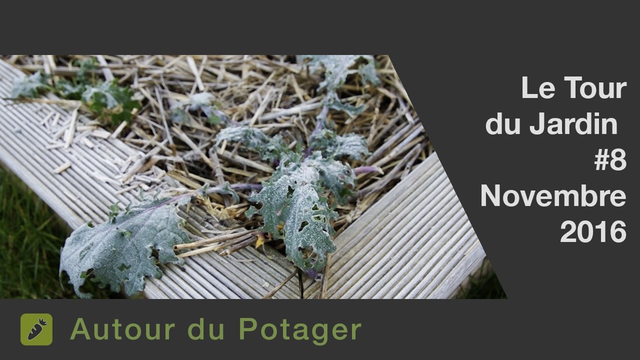 Le jardin et le potager en Novembre