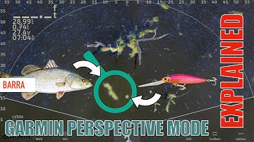 Garmin Perspective Mode Explained with Barramundi