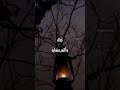شيلة اسامر الليل