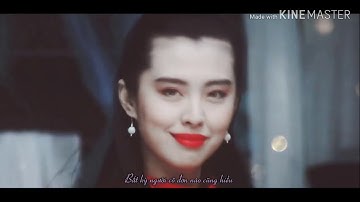 Vương Tổ Hiền - Tình đơn côi - Nhạc hoa lời việt - Nguyễn Phi Hùng