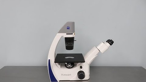 Zeiss Primovert Inverted Microscope ID 22020