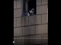 YOU WON'T BELIEVE THIS! Starving dehydrated dog hangs out the window for a emergency rescue YOU WON'T BELIEVE THIS! Starving dehydrated dog hangs out the window for a emergency rescue