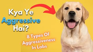 Are Labrador Retriever Aggressive Dogs? 8 Types Of Aggressiveness In Labrador Retriever | TUC