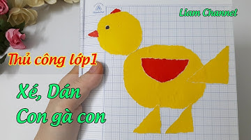 Thủ công lớp 1 | Bài 6 - Hướng dẫn vẽ, xé, dán hình Con gà con | Liam Channel