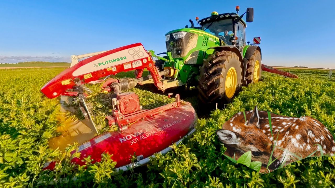 Nothing runs like a Deer