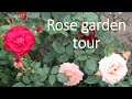 Rose garden tour