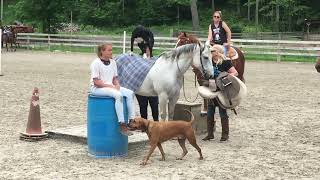 Dog Riding Horse