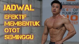 JADWAL LATIHAN FITNESS DI GYM SELAMA SEMINGGU | WEEKLY FITNESS ROUTINE