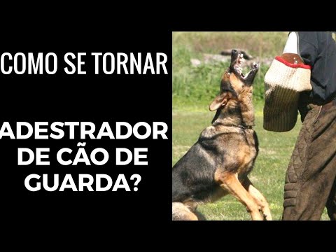 Como se tornar um ADESTRADOR DE CÃES DE GUARDA!