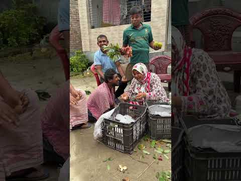 পরিবারের জন‍্য সব Alhumdulliah ফল  Foodvalley Express