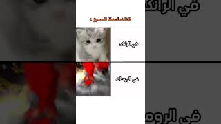 #foryou #freefire #freefiremax #freefireshorts #freefirelovers #algerie #fypシ #funny #فري_فاير #ff