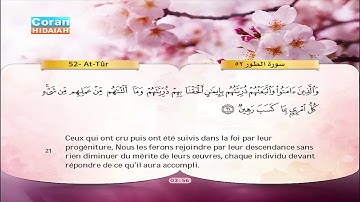 سورة الطور (52) سعد الغامدي