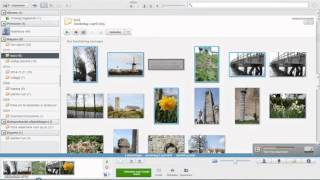 Picasa Fotos Exporteren