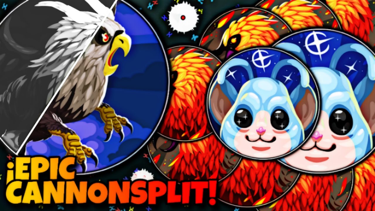 Mitosis: The Game - "¡EPIC CANNONSPLIT!" + ¡INSANE BAIT! - Private ROOM: 57K - Ft.Gohii