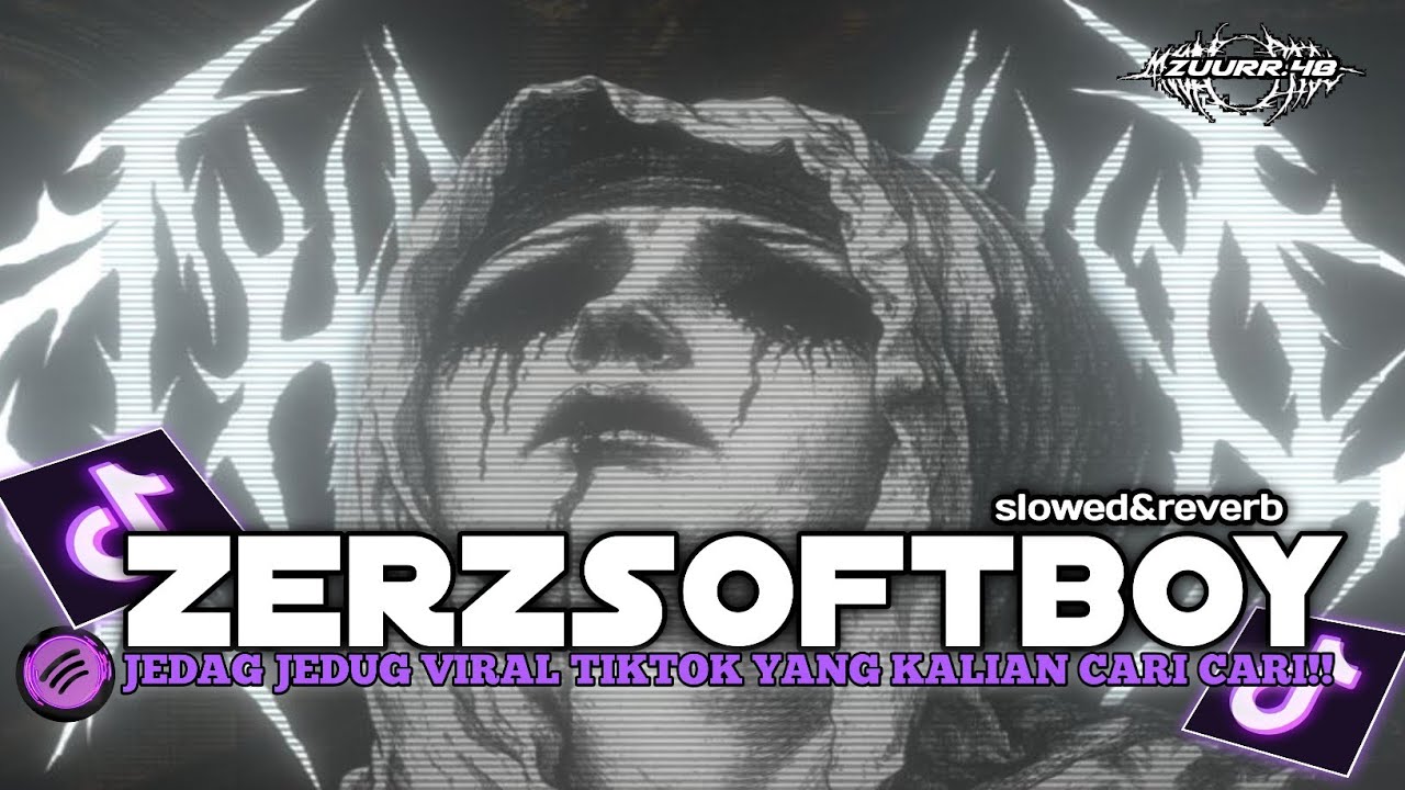 DJ ZERZSOFTBOY STYLE TERBARU SLOWED&REVERB VIRAL1