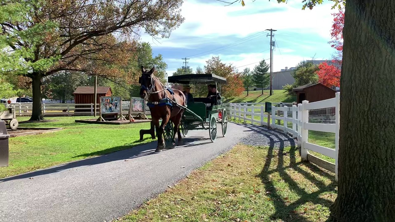 amish farm tour in lancaster pa