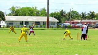 Guyana Kings vs Lehigh Cricket Club screenshot 1