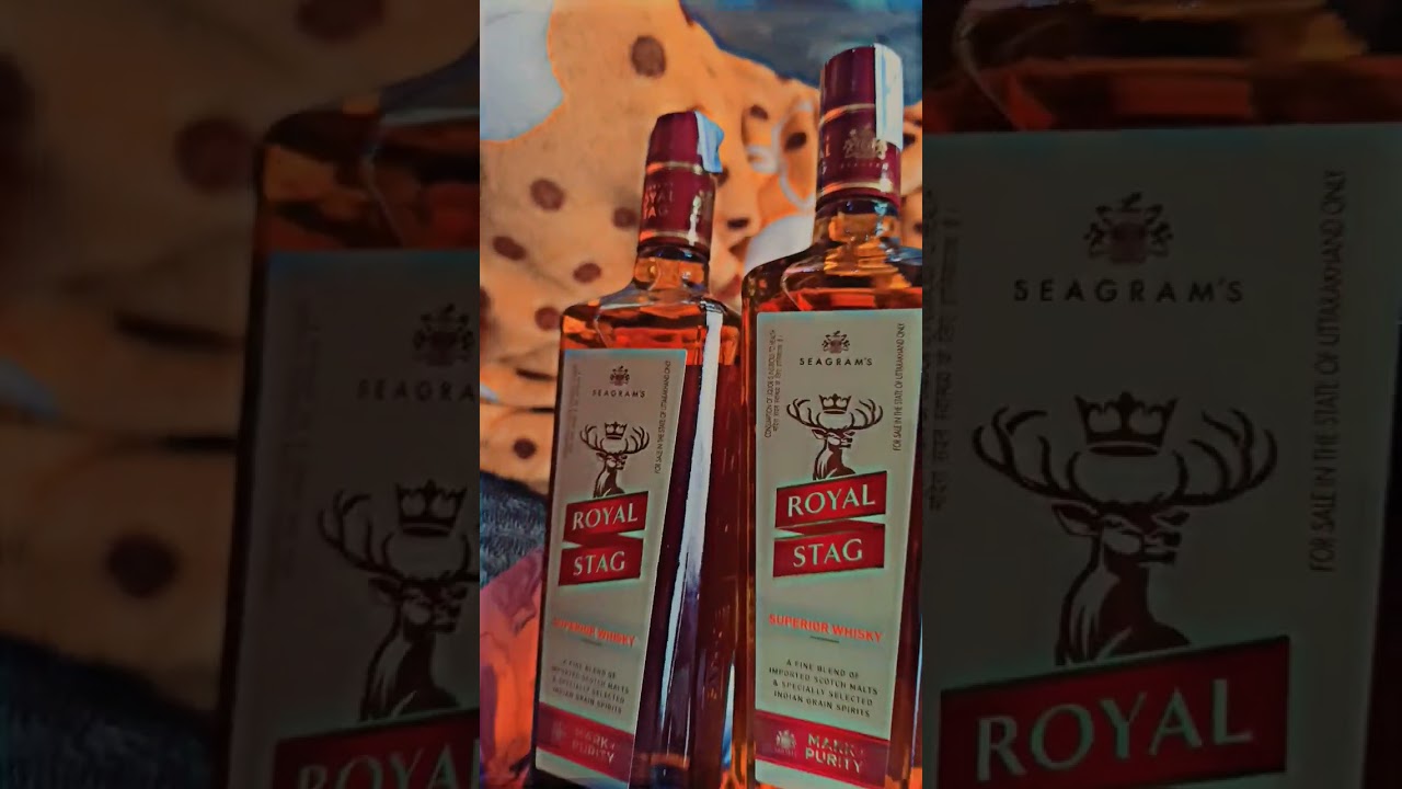 abrar trending song animal movie 