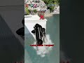 only one will survive #beamngdrive #crashdrive #crash #usa #car #games #bmw #gameplay