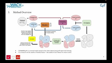 Correlation-Aware Active Learning for Surgery Video Segmentation