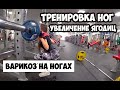 ВАРИКОЗ НА НОГАХ, ЛЕЧЕНИЕ | ТРЕНИРОВКА НОГ И УВЕЛИЧЕНИЕ ЯГОДИЦ