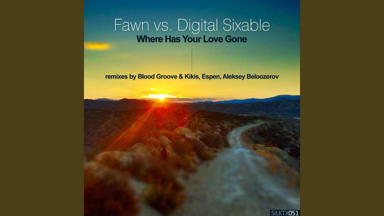 Where Has Your Love Gone (Espen Remix)