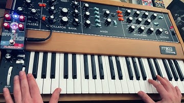 Moog Minimoog Model D reissue meets Space Race Reverb by Alexander Pedals