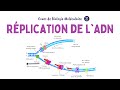 Rplication de ladn  acides nucliques  biochimie facile