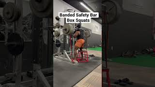 Banded Safety Bar Box Squat #ytshorts #conjugatemethod #elitefts