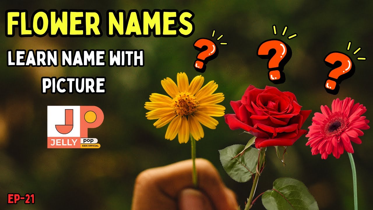 Learn Flower Names for Kids | ফুলের নাম | Preschool Learning | Kids Educational Video