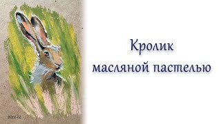 Кролик масляной пастелью.