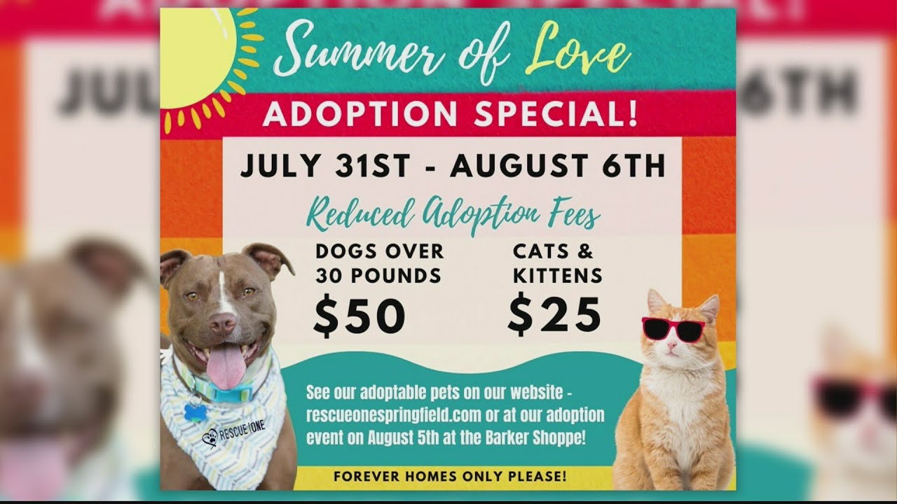 Rescue One's Summer of Love Adoption Event - YouTube