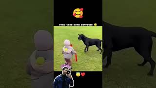 youtube shorts । instagram reels । whatsapp status