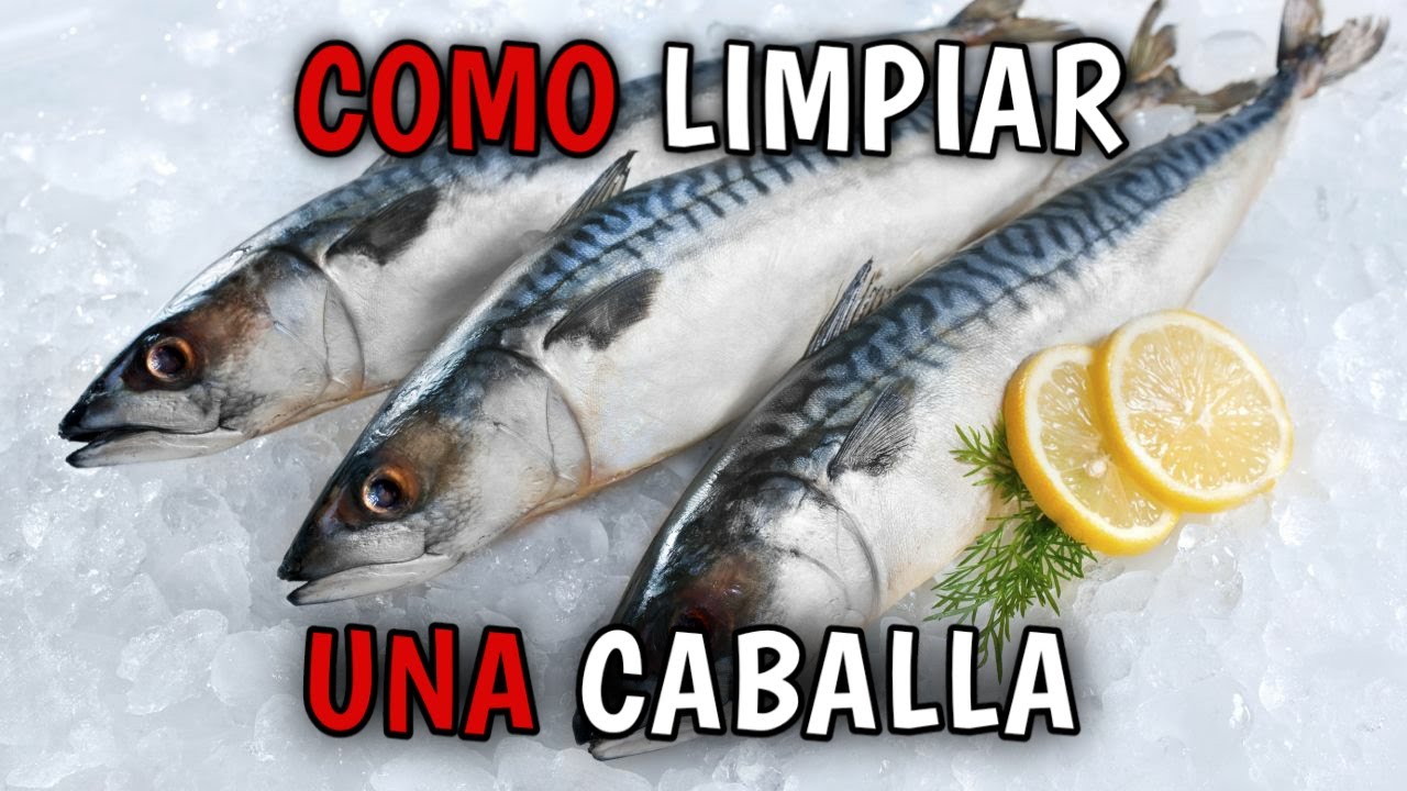 Cómo LIMPIAR una CABALLA FRESCA en LOMOS sin ESPINA