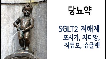 당뇨약 - SGLT2저해제(포시가, 자디앙, 직듀오, 슈글렛)에 관한 이야기