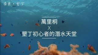 墾丁初心者的潛水天堂-萬里桐｜自由潛水｜攻略｜Vlog46