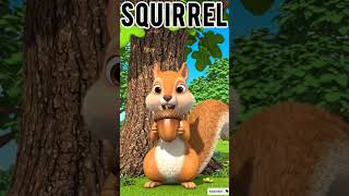 🦘 Kangaroo 🐿️ Squirrel 🦊 Fox | Fun Animal Names for Kids!
