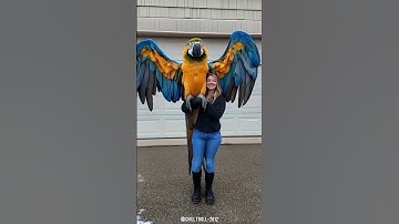 You are not afraid of animals 💀#animals #shorts #ytshorts