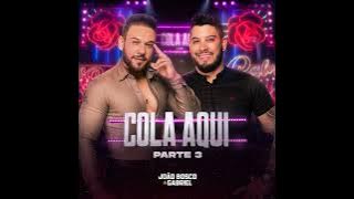 João Bosco e Gabriel part Diego e Victor Hugo - Assume a Gente  DVD Cola Aqui