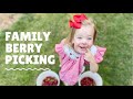 Family Berry Picking - Save One Eat Two 🍓