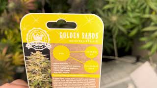 Humboldt golden sands seed package
