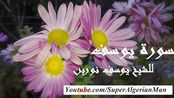سورة يوسف برواية ورش عن نافع للشيخ يوسف نورين