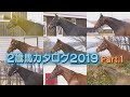 【POG】2歳馬カタログ2019 Part.1 / JRA-VAN[公式]